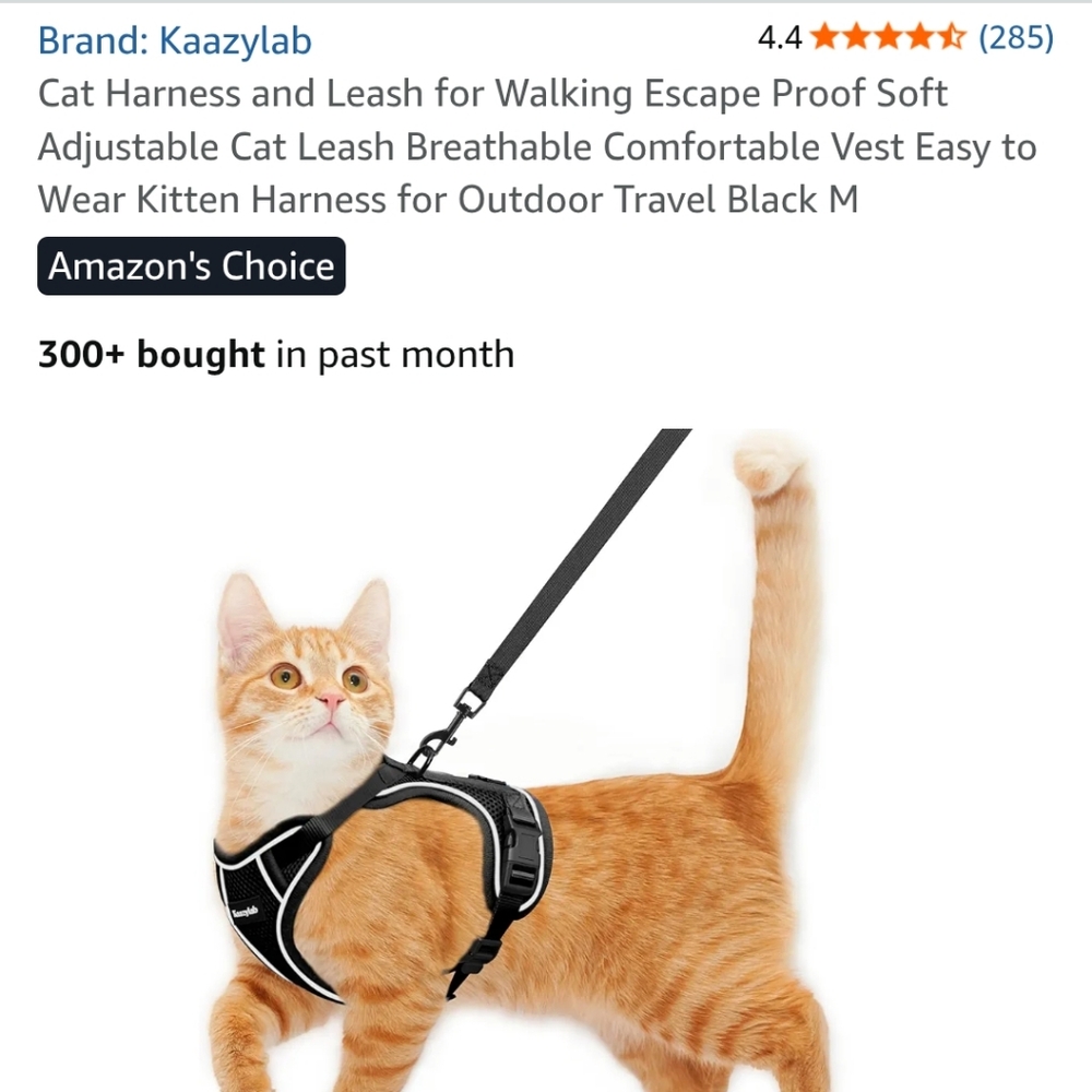Black Cat Harness and Leash Set Size M - Lot Of 2